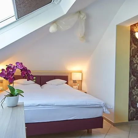 Hotel Hotel Wendelstein 3*