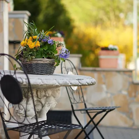 Hotel Wendelstein Hotel 3*