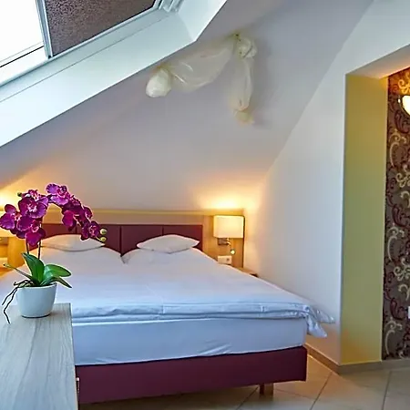 Hotel Wendelstein Отель 3*